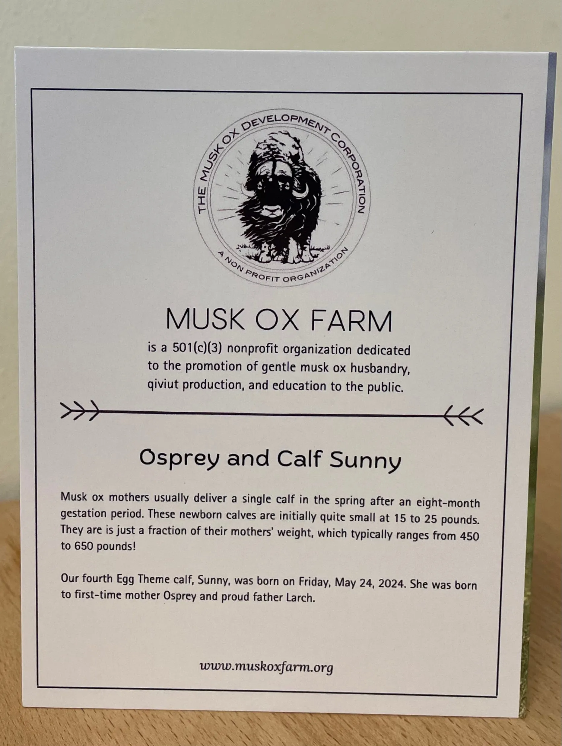 Osprey and Calf Sunny Card